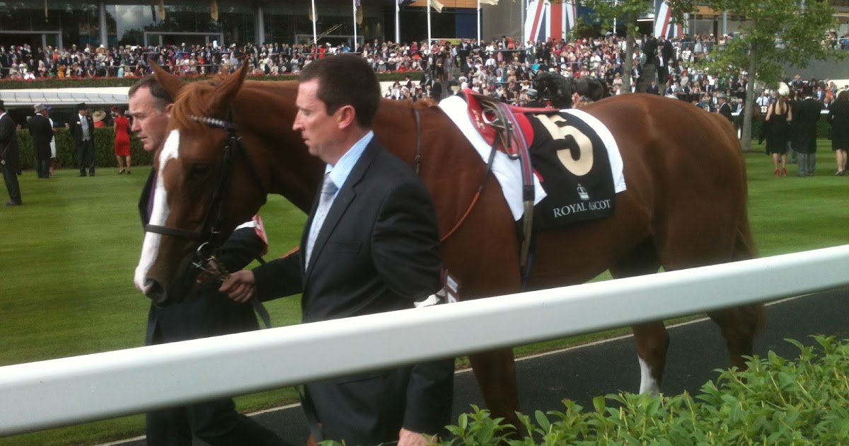 ... Horse Racing Betting Systems Uk : Bringing Technology To Horse Racing