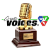  Pillars of the Voice Acting Industry Receives the Golden Creative Voices Award