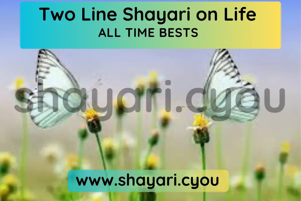 Two Line Shayari on Life