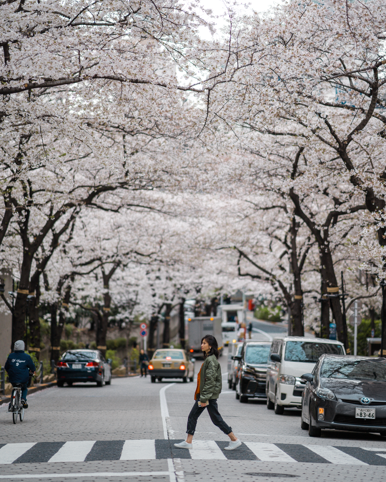 Cherry blossom tunnels in Tokyo, Tokyo's Not So Secret Cherry Blossoms Spots That You Might Not Know Of - Style and Travel Blogger Van Le (FOREVERVANNY.com)