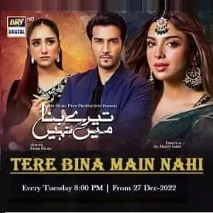 Tere Bina Main Nahi Episode 34