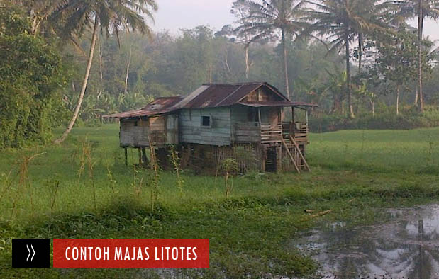 25+ Contoh Majas Litotes dan Pengertiannya Lengkap 