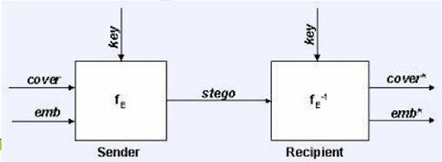 Gambaran Aur Steganografi