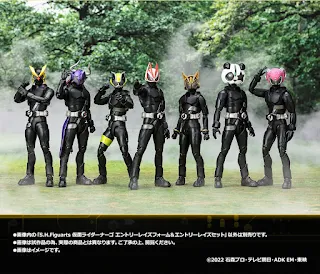 SHFiguarts Kamen Rider Na-Go Entry Raise Form & Entry Raise Set, Bandai