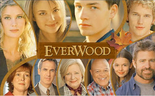 everwood|tv shows