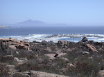 Totorolillo