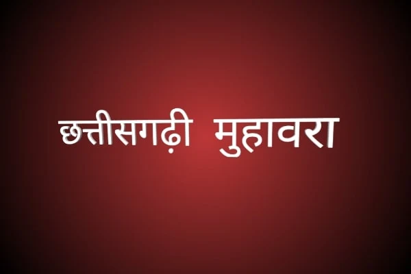 छत्तीसगढ़ी जनउला  छत्तीसगढ़ी में कहावत  छत्तीसगढ़ी मुहावरे का वाक्य में प्रयोग छत्तीसगढ़ी मुहावरे एवं लोकोक्तियाँ pdf