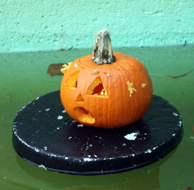 Jack o lantern floating on a disk in the fountain at High Park