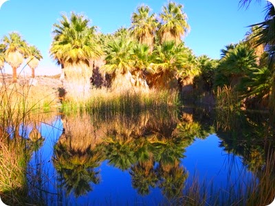 McCallum Pond