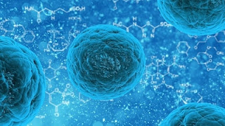 Each damaged stem cell is given a nanoparticle backpack