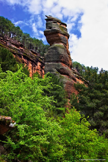 Parque Natural del Alto Tajo