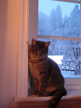 Katten Sigge