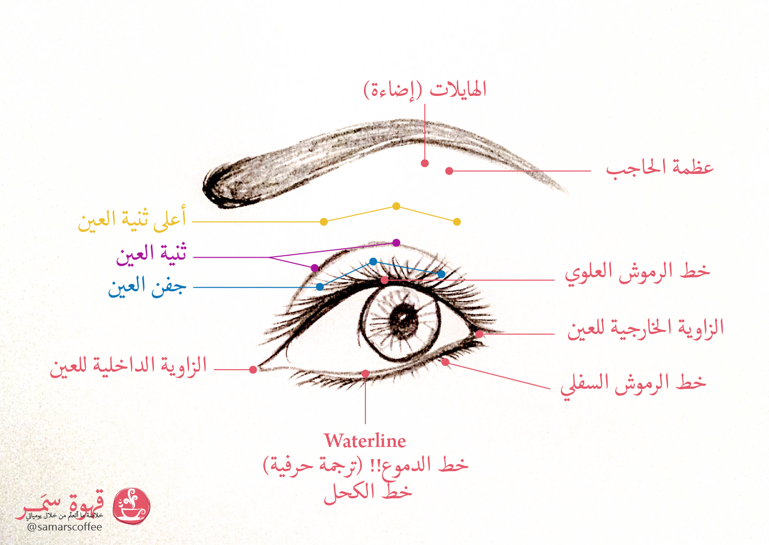 كيف ووين تحطي ماكياج العين قهوة سمر