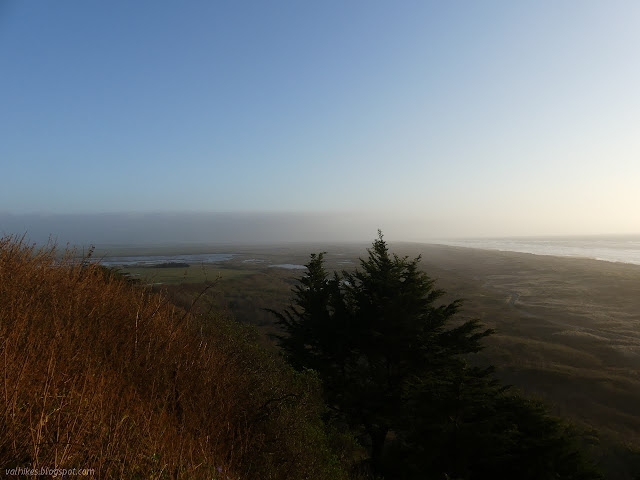 Eel River Wildlife Area, sand dunes and salt marsh