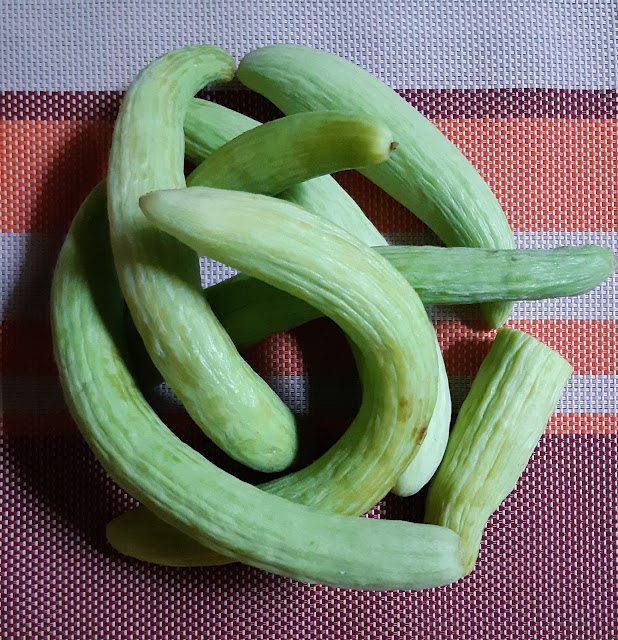 Indian Fruit- Armenian cucumber/Pinju Vellarikka/Kakdi- What is an ...