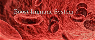 How to boost immune system quickly