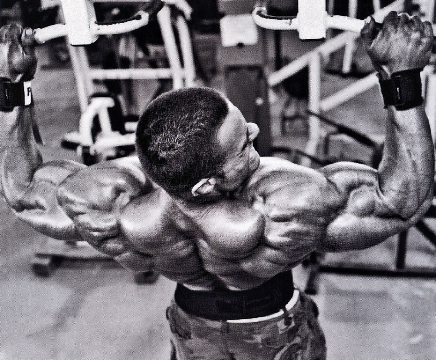 Bodybuilding Chest And Back Workout
