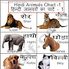 Animals Name English To Hindi / English Vocabulary Animals Name with Pictures and Hindi ... / संस्कृत में जंगली जानवरों के नाम (wild animals name in sanskrit and hindi).