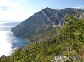 P1120579