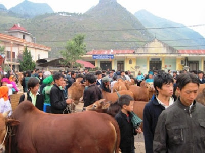 Visiting colorful Ha Giang market/