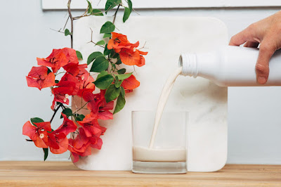Soylent Ready to Drink Food Meal in The Bottle