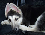 Mali 10 weeks
