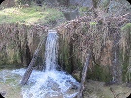 IMG_0205
