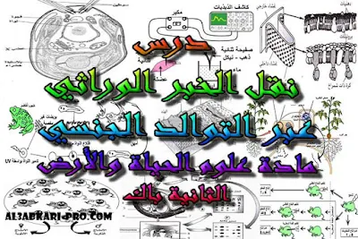 تحميل درس نقـل الخبر الوراثي عبر التوالد الجنسي للسنة الثانية باك , درس , ملخص , تمارين , امتحانات وطنية علوم الحياة والارض , علوم الحياة والارض , فروض علوم الحياة والارض , الثانية باك , بكالوريا , دروس اونلاين