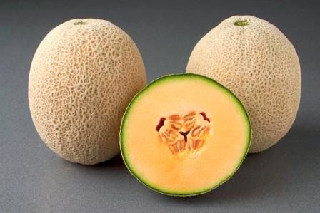 Gambar Buah Melon  Segar Aku Buah  Sehat