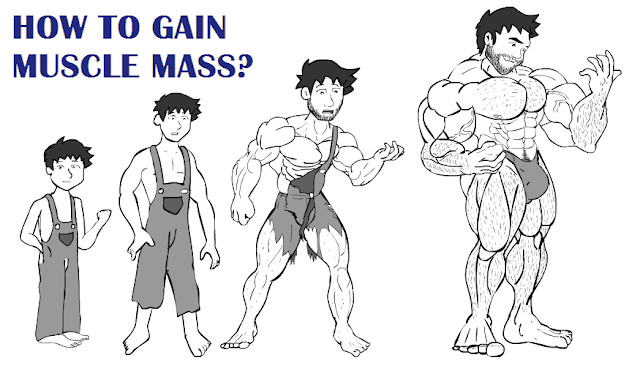 Gain Muscle Mass Fast