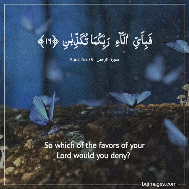 heart touching verses of quran