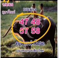 Thailand lottery মহিষের পেপার ওপেন 16/09/2022 Thai lottery মহিষের পেপার -Thailand Lottery 100% sure number  16/09/2022
