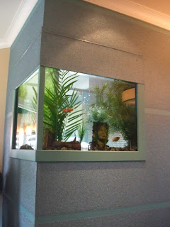 Creative aquarium fish tank design