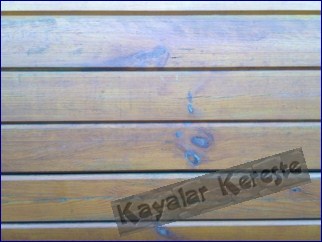 Plywood çeşitleri