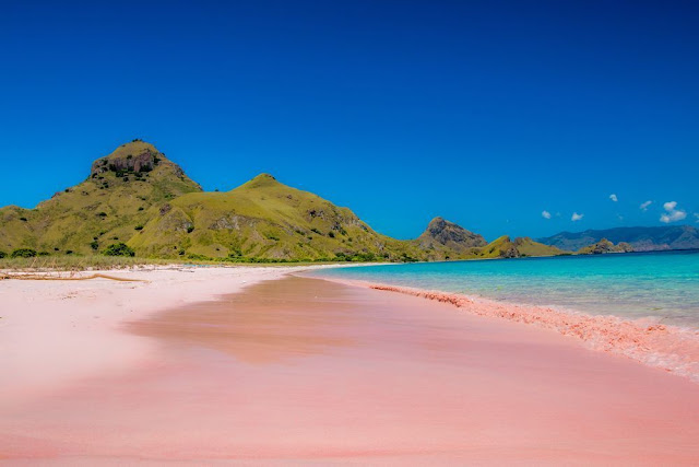Pink Beach in Lombok