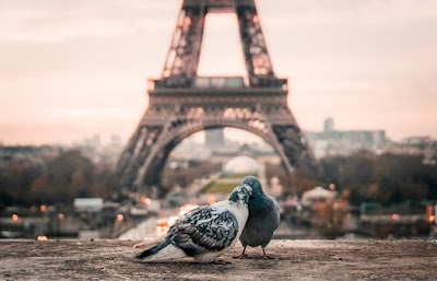 Verliebte in Paris