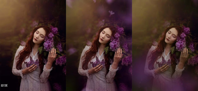 Painted Lilacs Photo Overlays