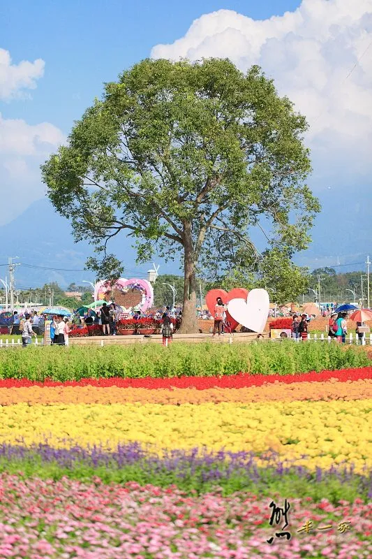 [台中新社花海] 藝想萬花筒｜台中國際花毯節