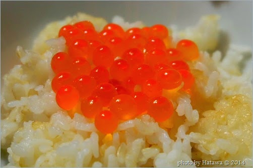 DSCF2757