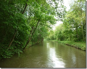 13 wooded bit nr shackerstone