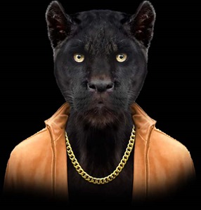 Panther
