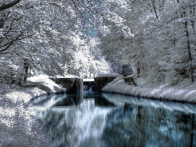 Kälte und Frost - Natur Landschaftsbilder im Winter