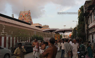 Parthasarathy Perumal, Theliya Singar, Narasimha Swamin,Swathi Nakshatram ,  Purappadu,  Trplicane,  Purappadu, Thiruvallikeni, Utsavam, 