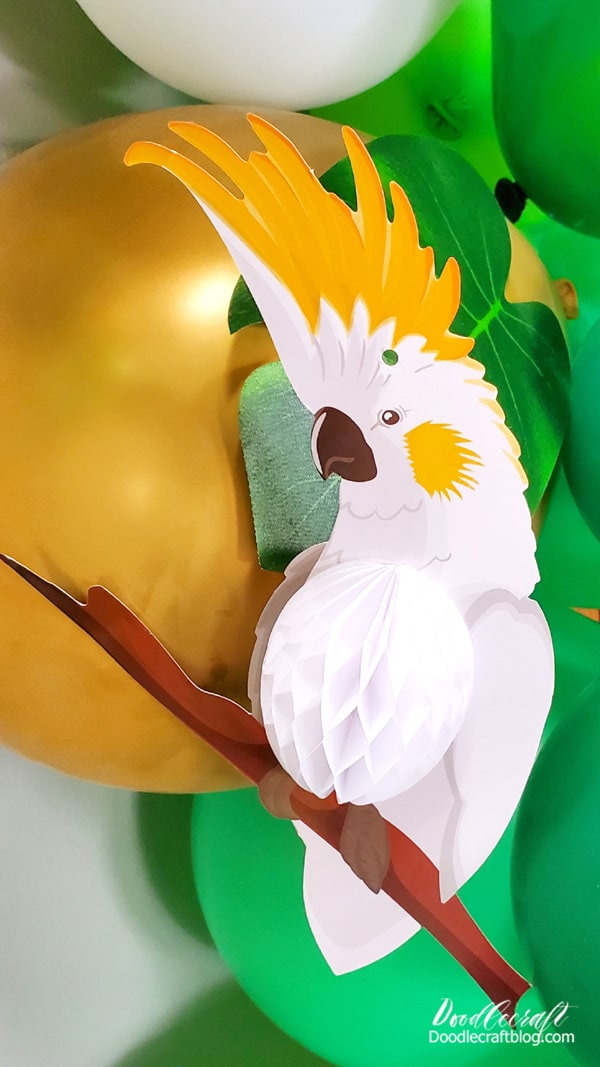 Do you prefer the macaw or the cockatoo?
