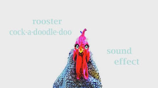 how animal rooster sounds