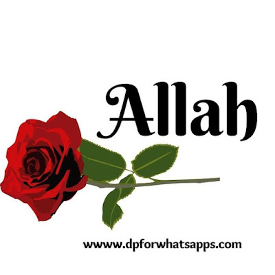 stylish allah name dp | allah name images | allah name s | allah name dp  allah name dp | allah name s | allah name images | allah name arabic | images of allah name | wallpaper allah name |beautiful allah name dp | allah name dp for whatsapp | allah name dp in english | flower allah name dp | allah name dp   pics | allah name dp hd