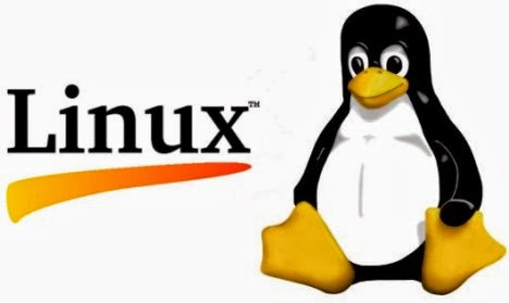 Best Linux Operating System? 