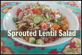 beautiful salad with lentil sprouts instead of lettuce