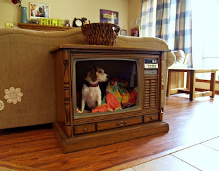 orvis dog crate furniture