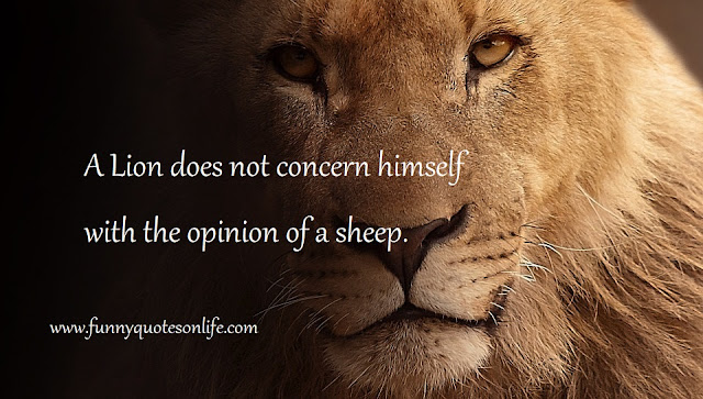 quotes on opinion
